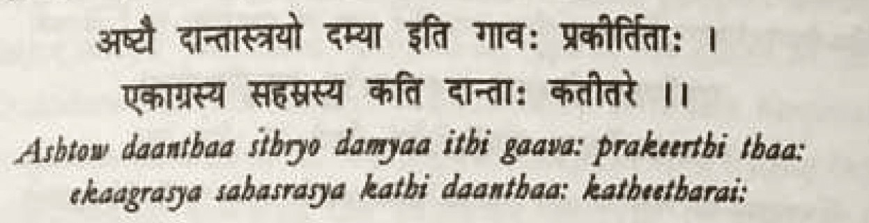 Sanskrit source excerpt