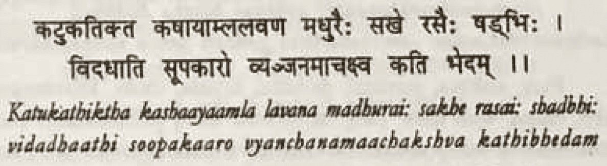 Sanskrit source excerpt
