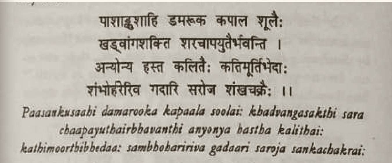 Sanskrit source excerpt
